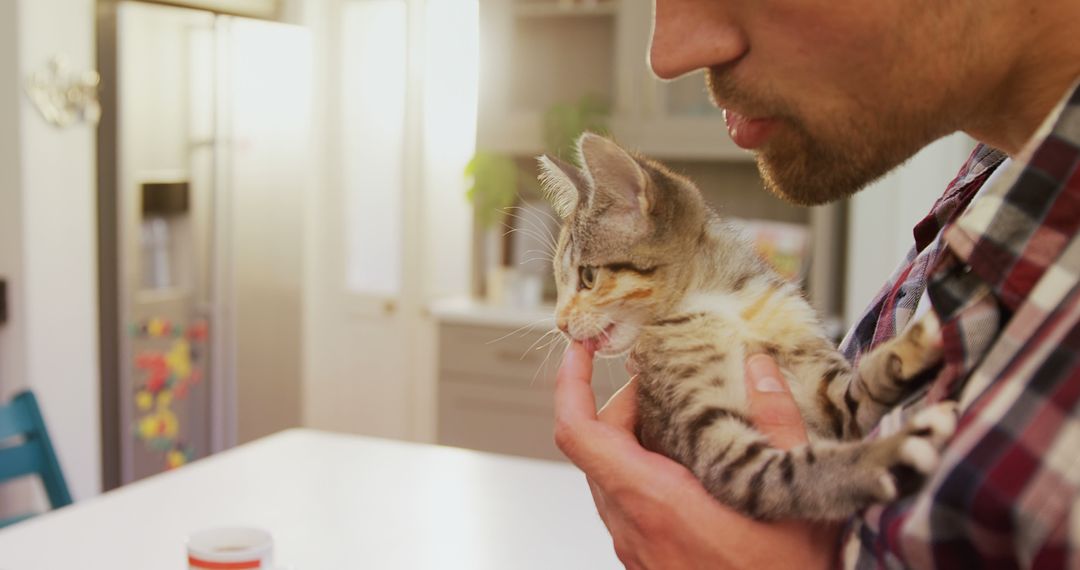 Man Feeding Kitten in Bright, Cozy Kitchen - Free Images, Stock Photos and Pictures on Pikwizard.com