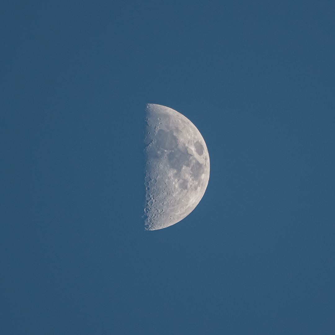 Half moon against clear blue sky showing universe cratered surface
