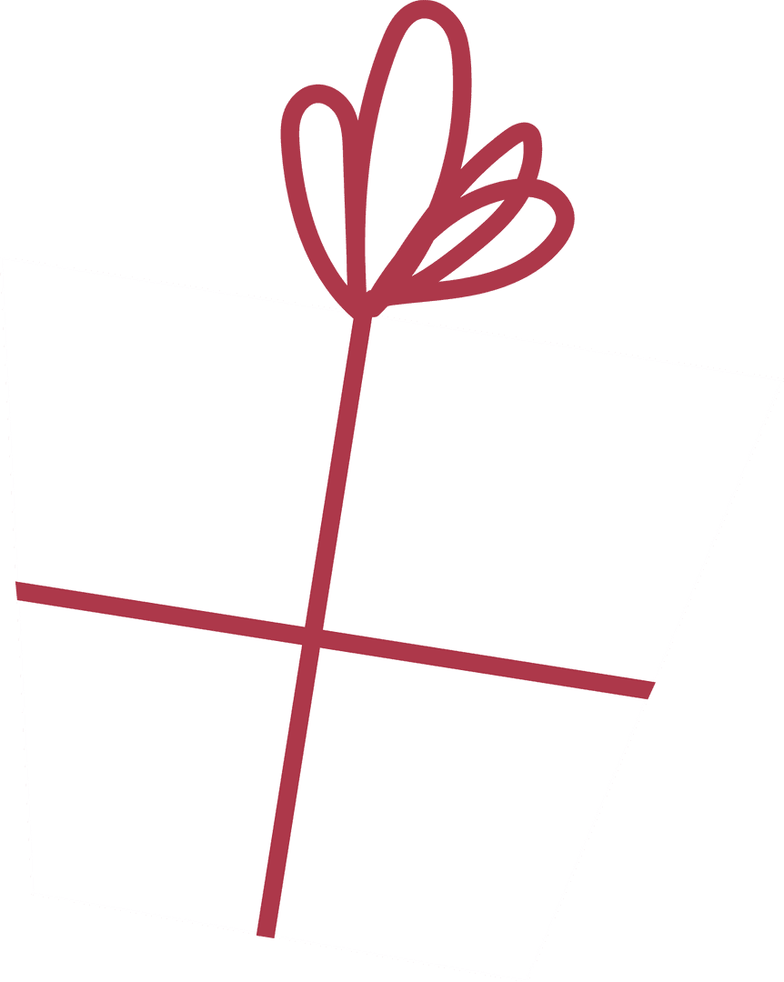 Elegant Transparent Present Box with Red Ribbon