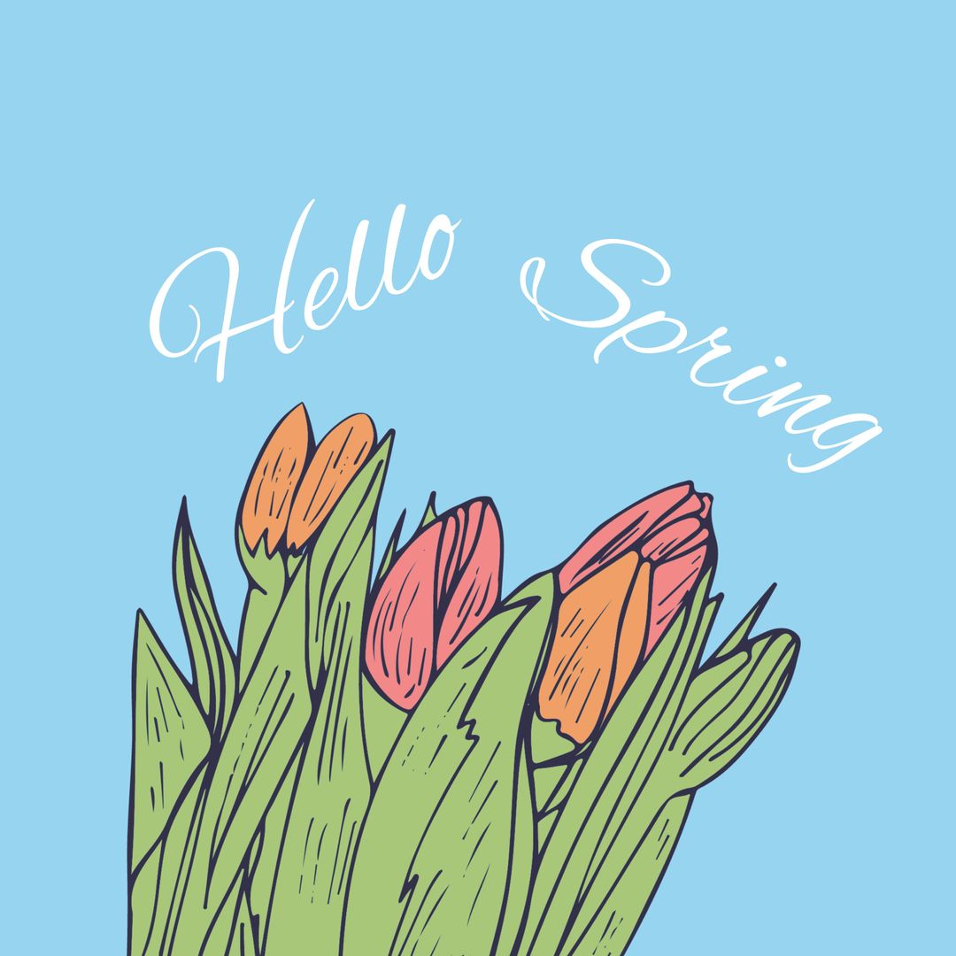Hello Spring Handwritten Text with Vibrant Tulips Illustration