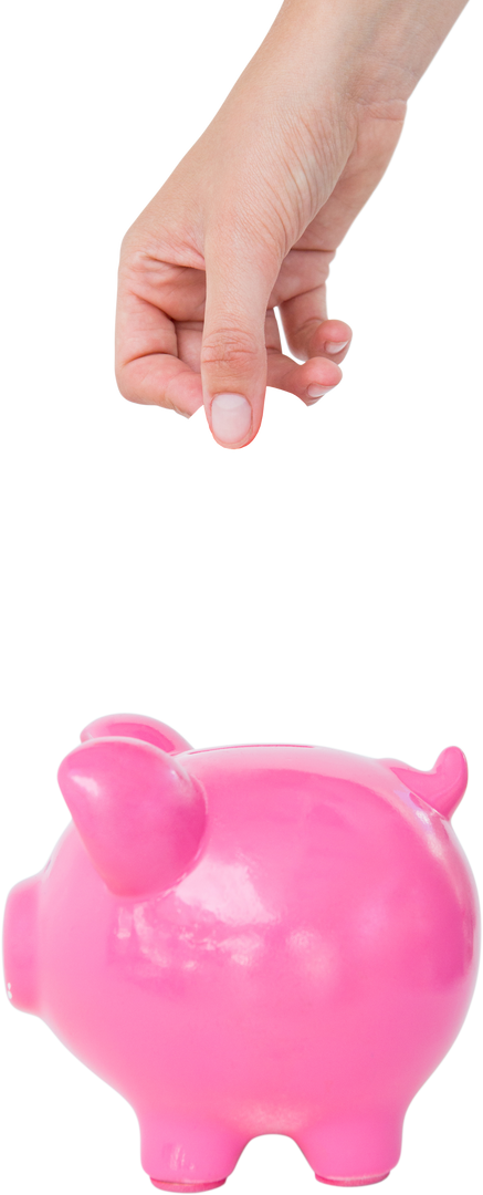 Hand Reaching for Piggy Bank on Transparent Background Isolated Photo - Download Free Stock Images Pikwizard.com