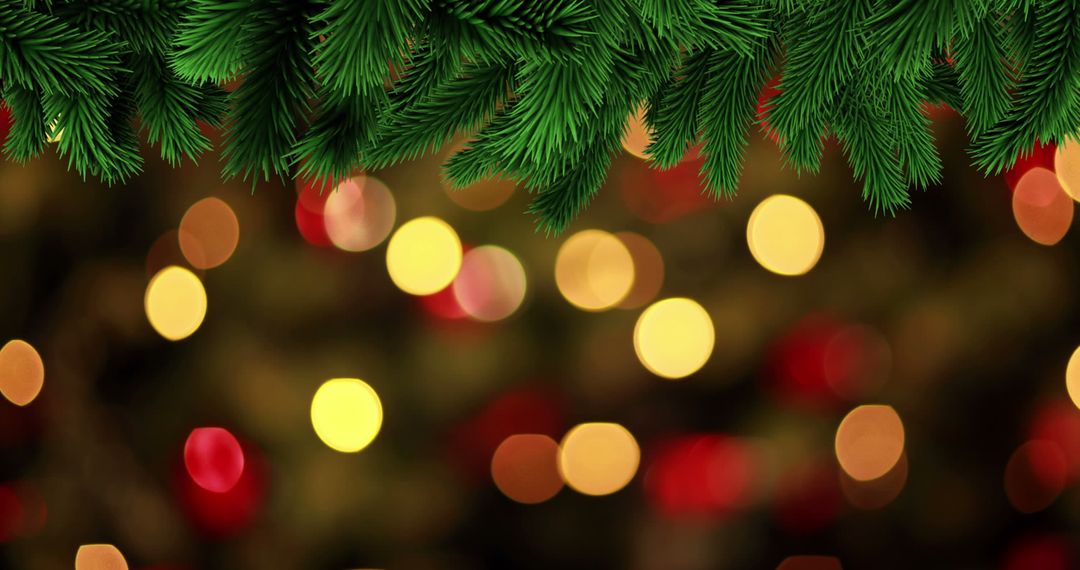 Festive Pine Branches with Colorful Holiday Bokeh