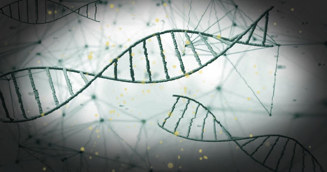DNA Helix over Network Connections Conceptual Background