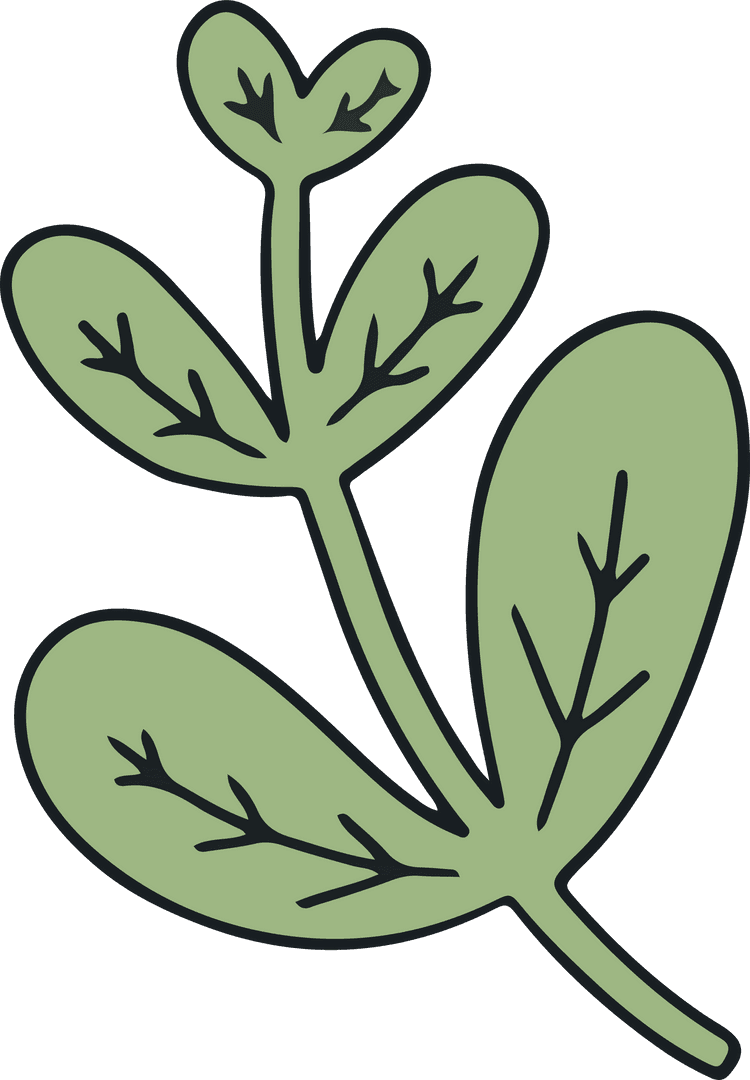 Botanical Sprig with Five Leaves on Transparent Background