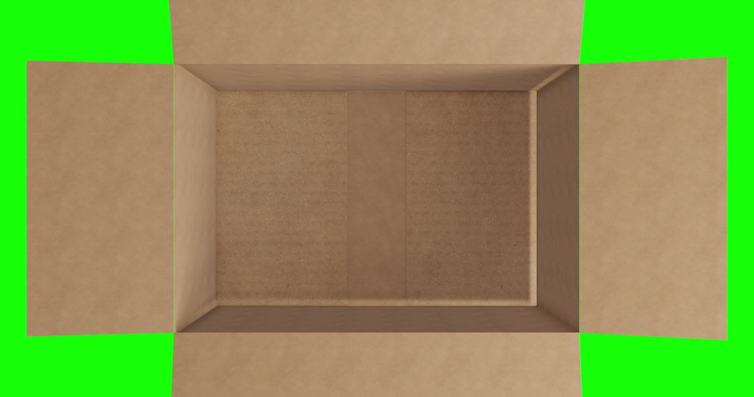 Open Empty Cardboard Box with Green Background