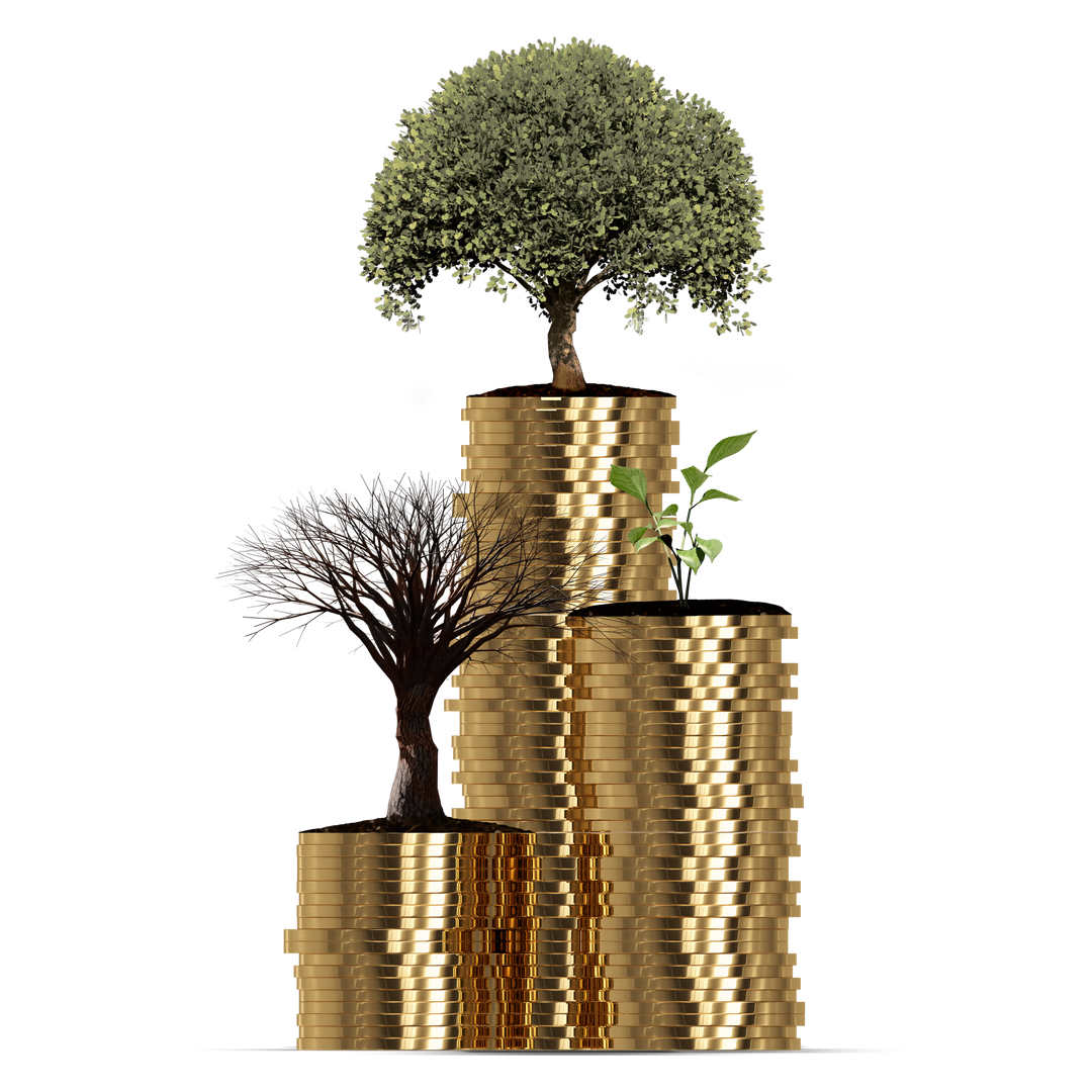 Growing Trees on Stacked Coins, Transparent Finance and Nature Concept - Download Free Stock Images Pikwizard.com