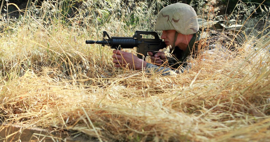 Soldier Practicing Camouflage Techniques with Rifle in Tall Grass - Free Images, Stock Photos and Pictures on Pikwizard.com