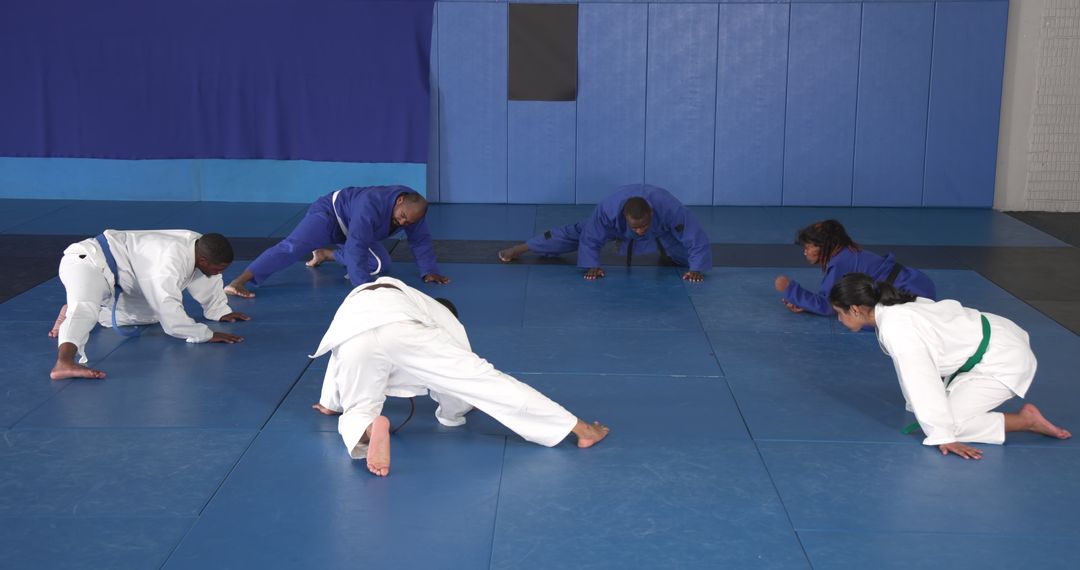 Diverse Martial Artists Training on Blue Mat in Dojo
