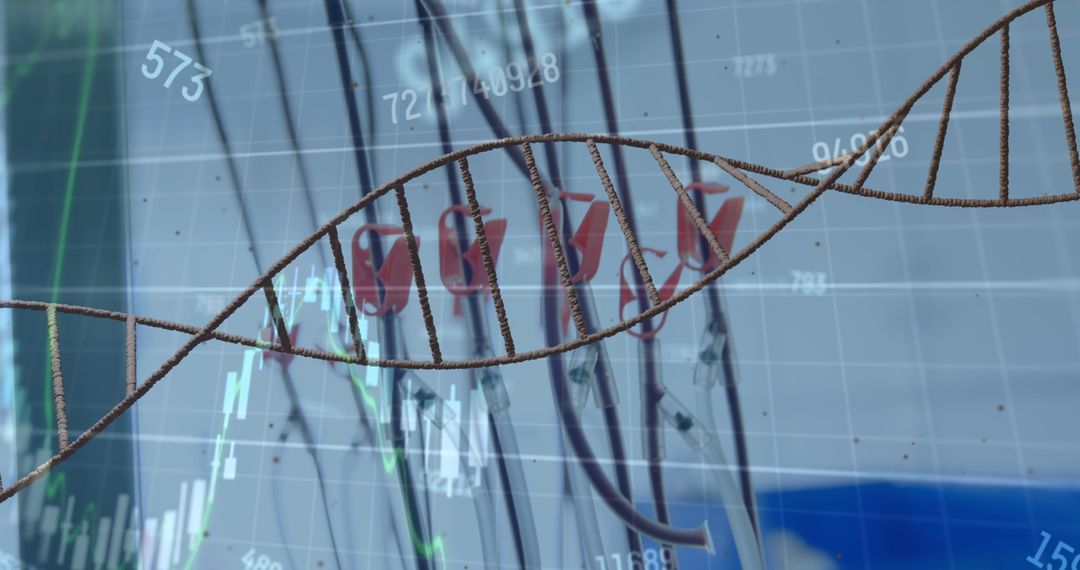 DNA Model with Stock Market Data Overlay in Laboratory Setting