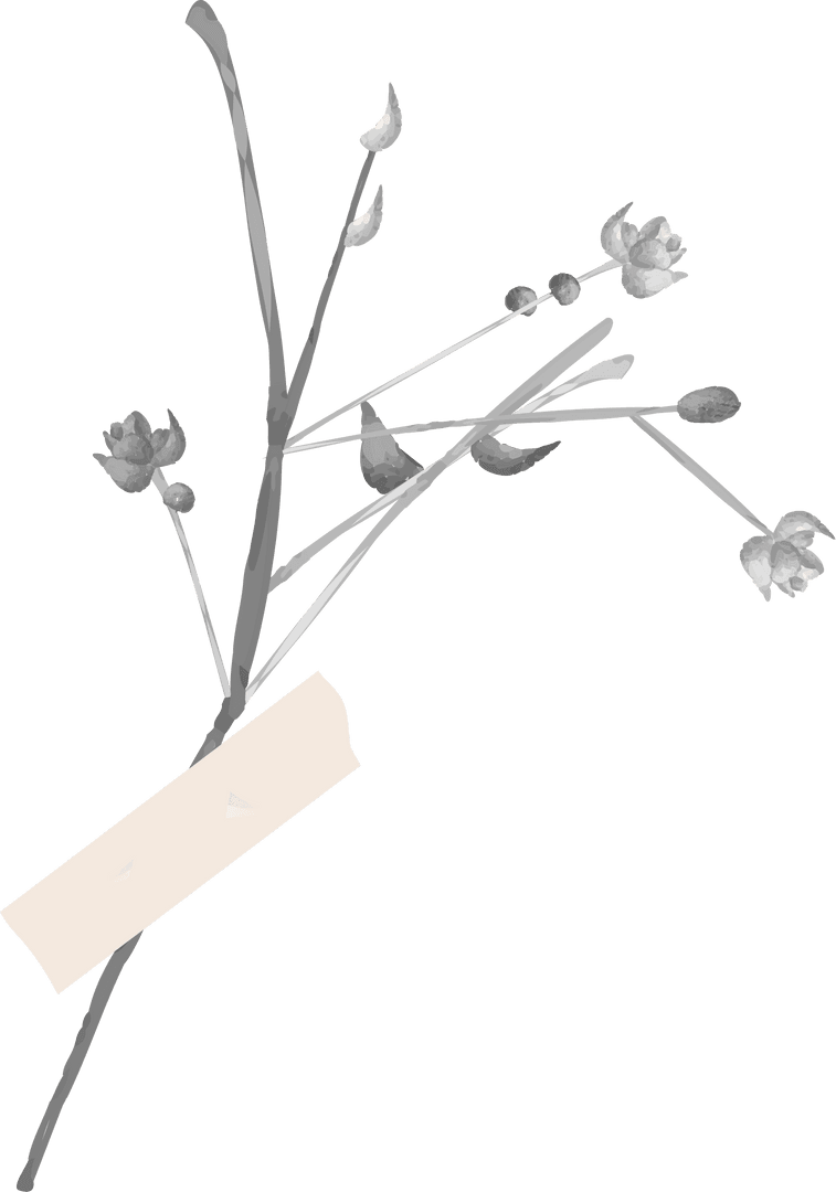 Transparent Minimalistic Botanical Design with Blossoms and Label