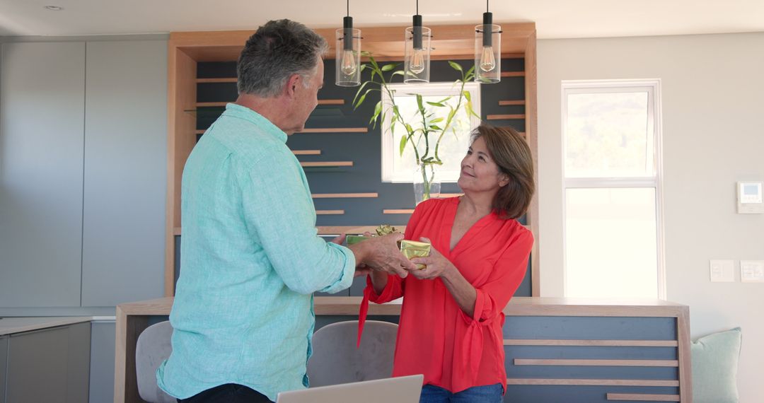 Senior Couple Exchanging Ideas in Modern Home Office