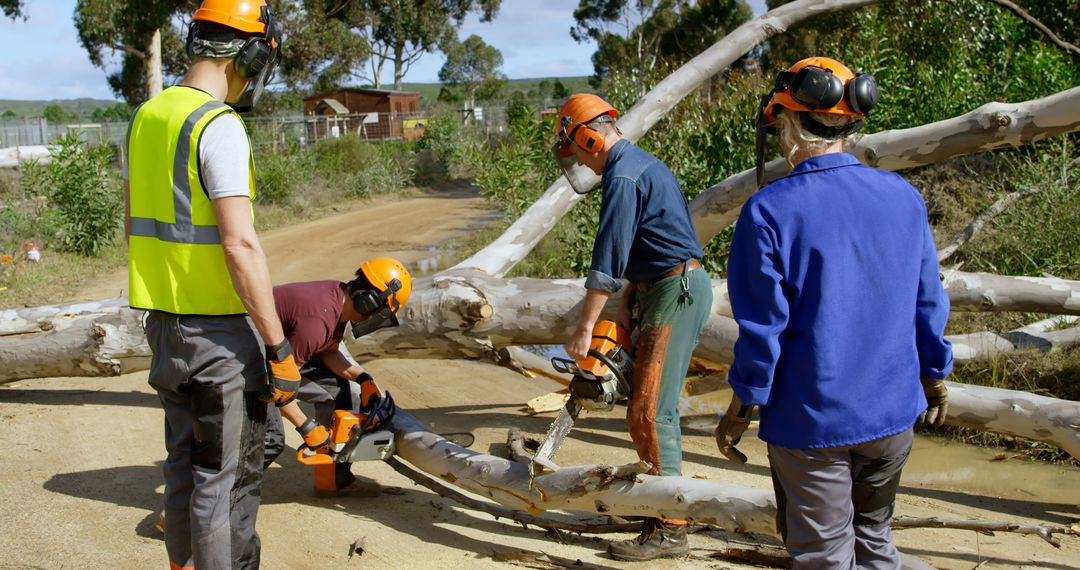 Team of Workers Cutting Down Tree Branches with Chainsaw in Forest Area - Free Images, Stock Photos and Pictures on Pikwizard.com