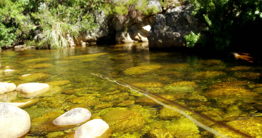 Fisherman Casting Rod in Clear River on Sunny Day