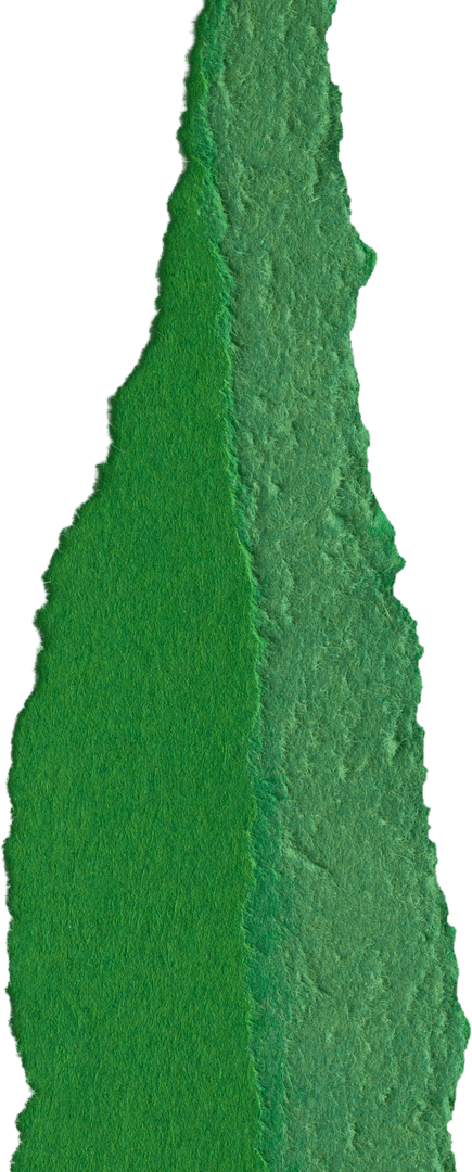 Green Torn Paper Edge with Transparent Background and Copy Space