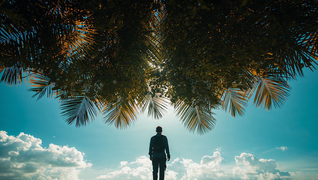 Traveler Admiring Sky Under Palm Trees