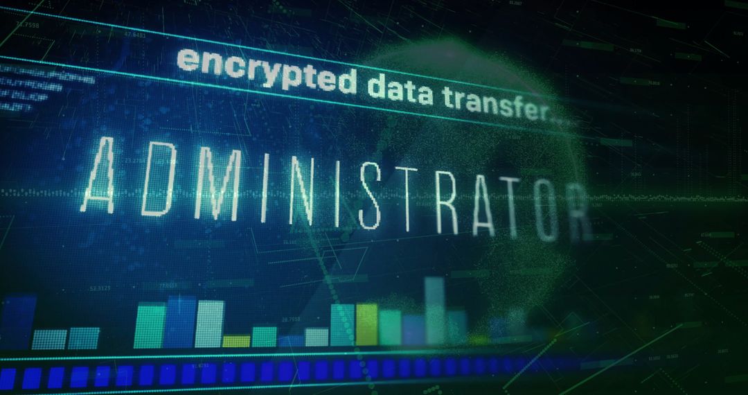 Digital Data Processing with Encrypted Transfer Visualization