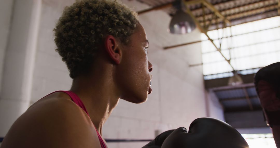 Female Boxer Training in Sunlit Gym - Free Images, Stock Photos and Pictures on Pikwizard.com