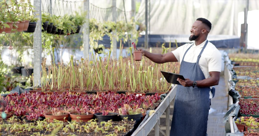 Horticulturist Utilizing Technology for Plant Inspection in Nursery