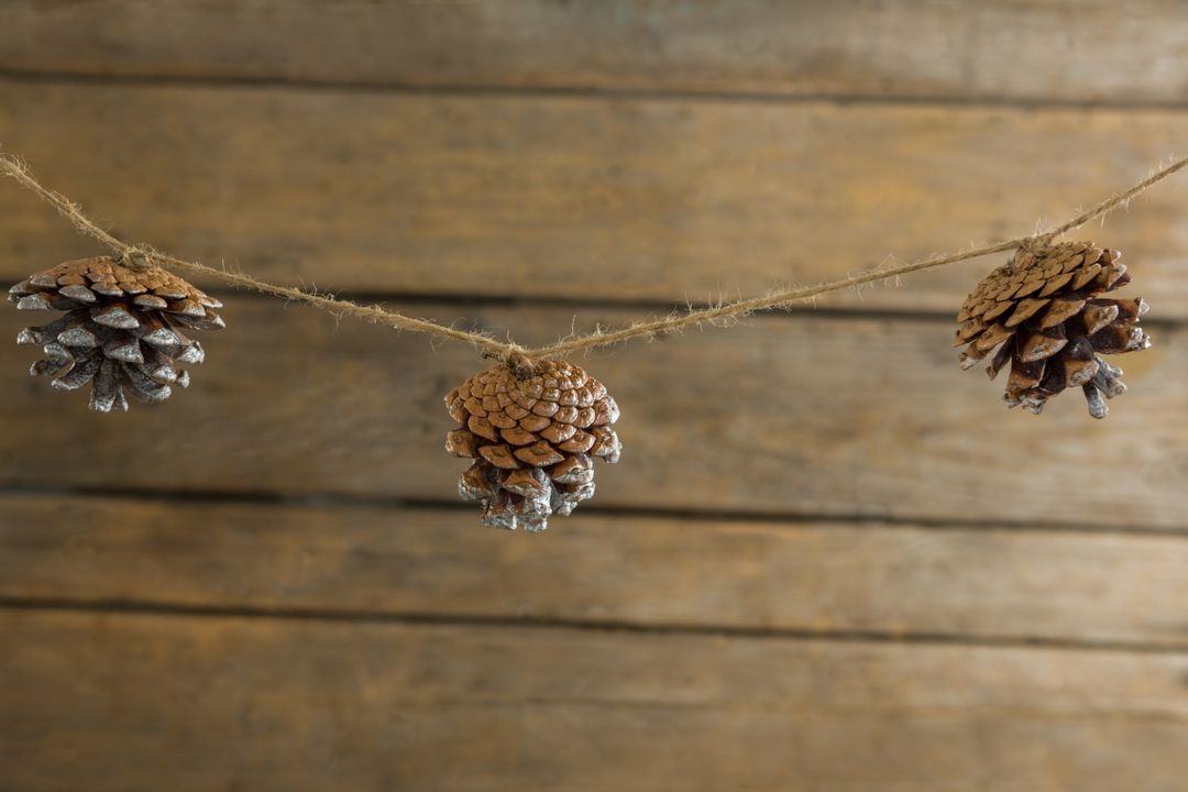 Close up of pine cones hanging on rope - Free Images, Stock Photos and Pictures on Pikwizard.com