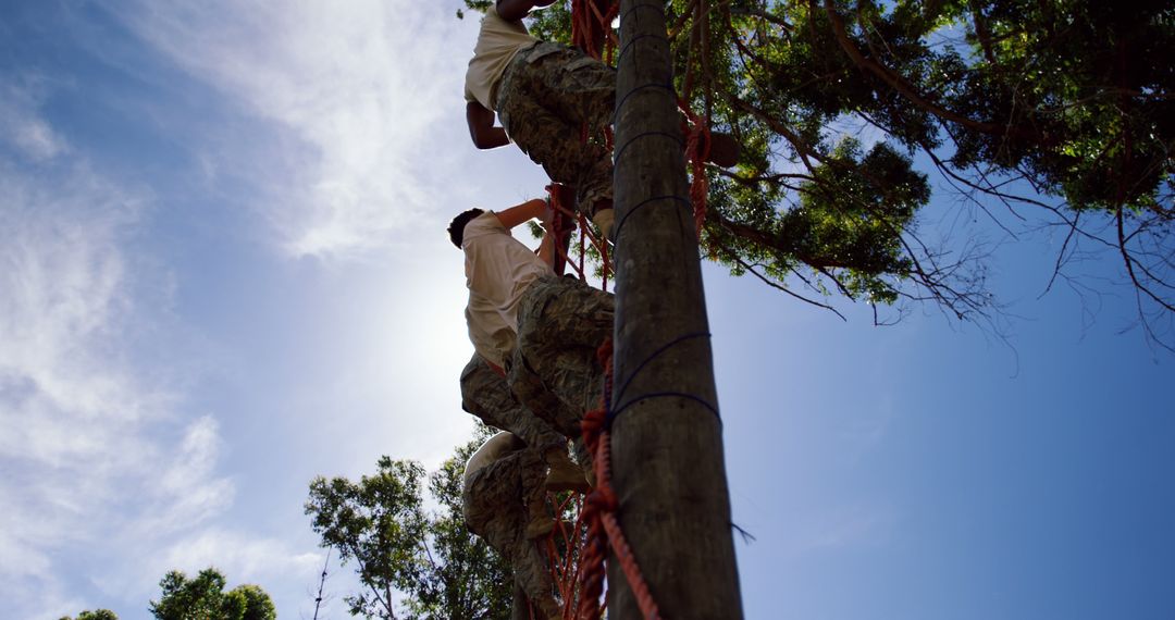 Men Climbing Outdoor Rope Course in Team-Building Activity