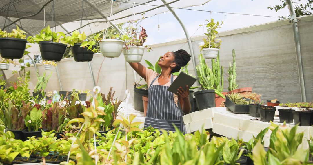 Garden Center Employee Inspecting Plants in Nursery