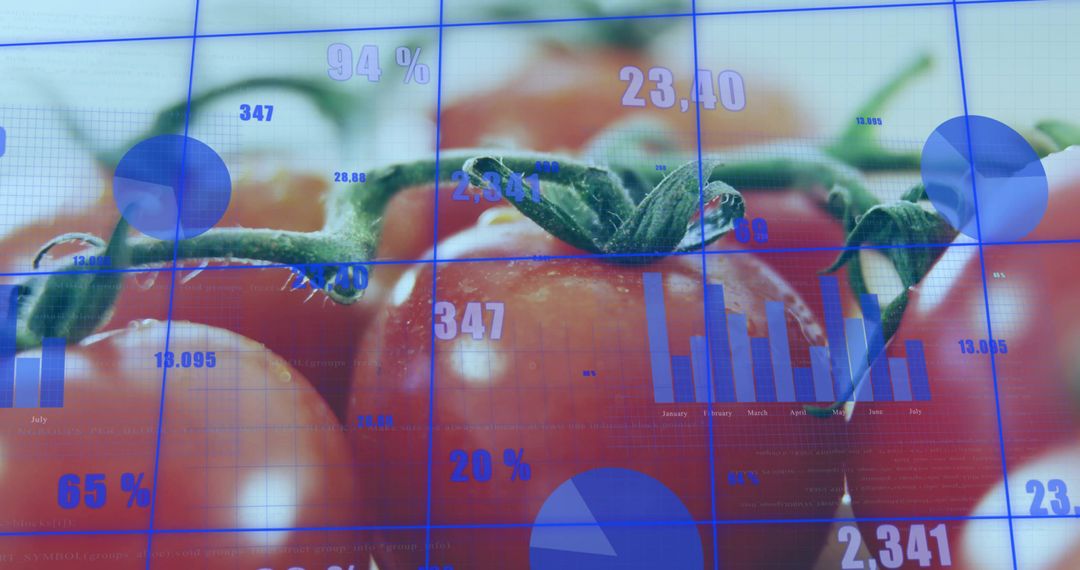 Tomatoes and Data Analytics in Digital Farming Concept
