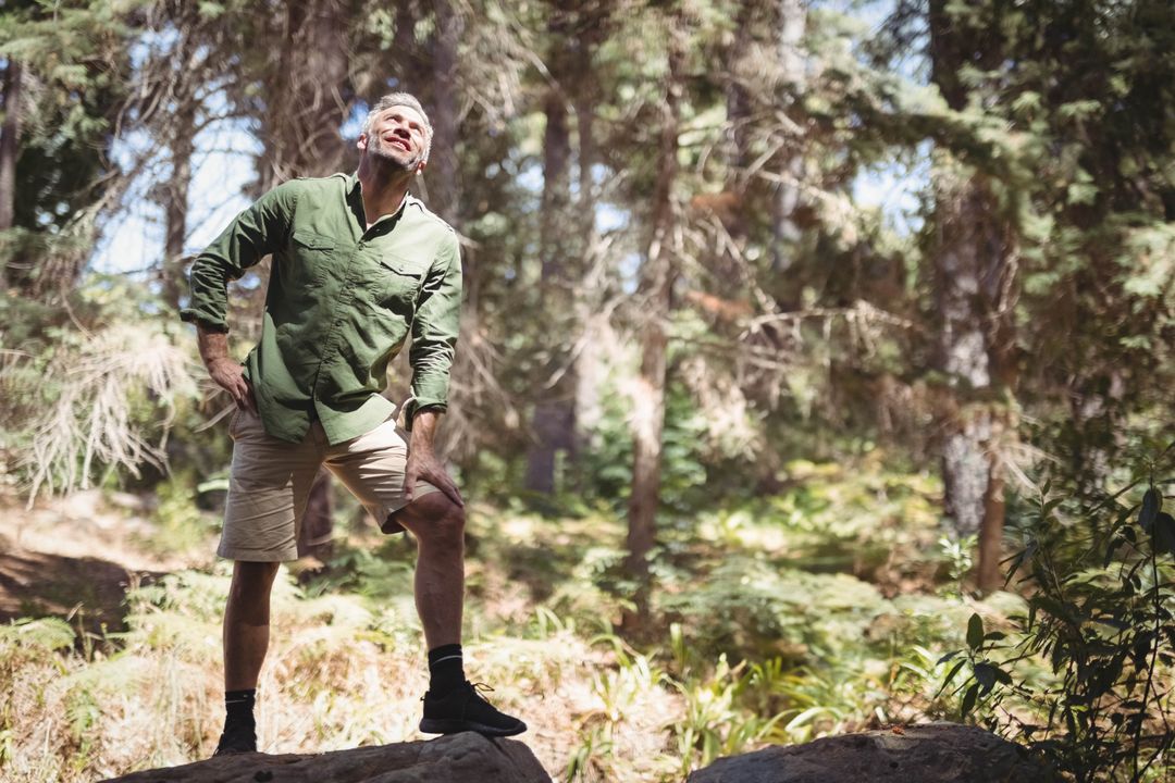 Hiker Enjoying Tranquil Forest Newbie Experience in Sunlit Glade