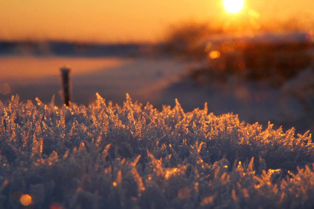 Sunrise Over Frosty Winter Landscape with Ice Crystals - Free Images, Stock Photos and Pictures on Pikwizard.com