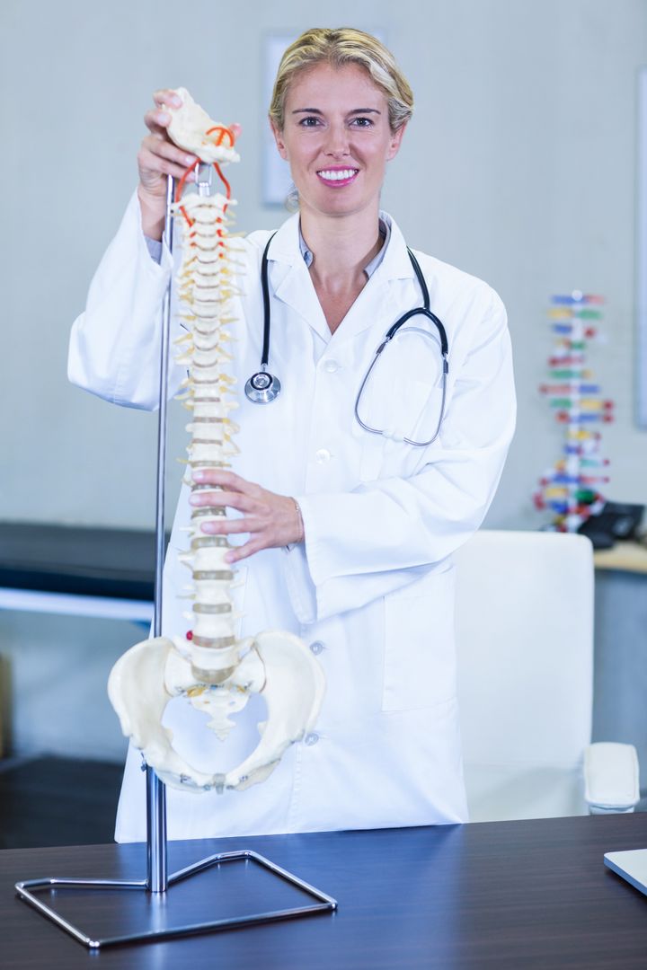 Physiotherapist holding a spine model - Free Images, Stock Photos and Pictures on Pikwizard.com