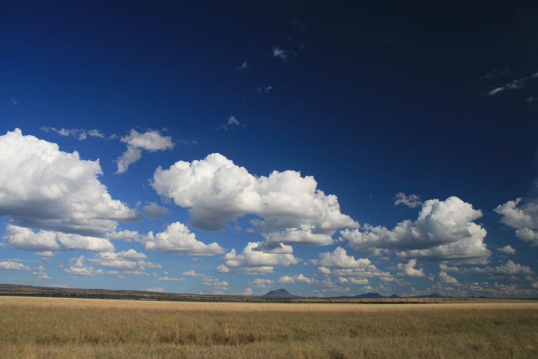 Wide Open Grassland Under Clear Blue Sky with Fluffy Clouds - Free Images, Stock Photos and Pictures on Pikwizard.com