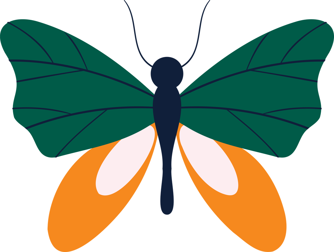 Green Butterfly with Orange Wings Vector Clip Art on Transparent Background - Download Free Stock Images Pikwizard.com