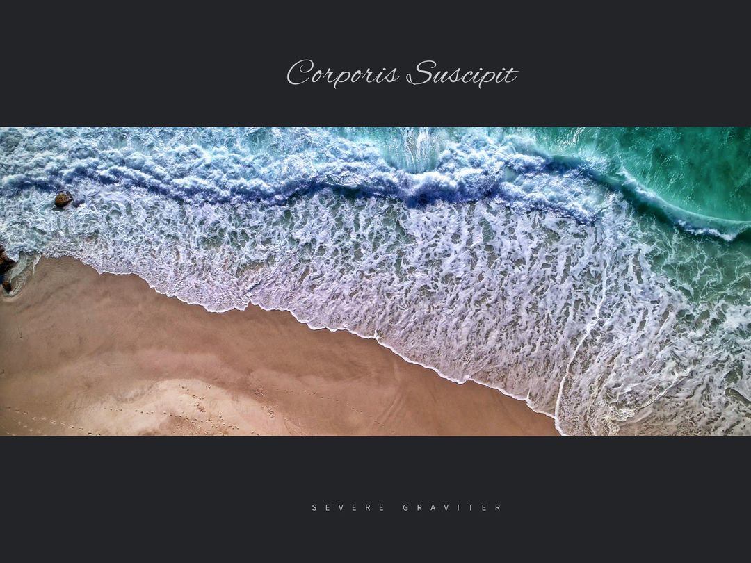 Tranquil Aerial View of Waves Touching Sandy Beach Shoreline