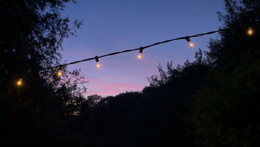 Warm Edison String Lights Glowing Over Backyard Dusk with Silhouetted Trees
