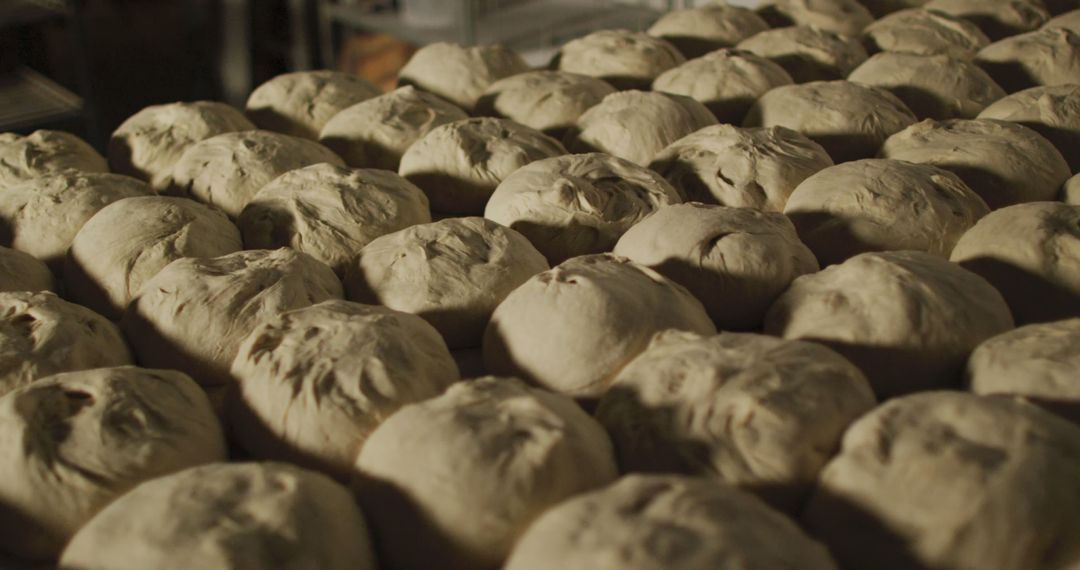 Freshly Kneaded Bread Dough Balls in Bakery - Free Images, Stock Photos and Pictures on Pikwizard.com