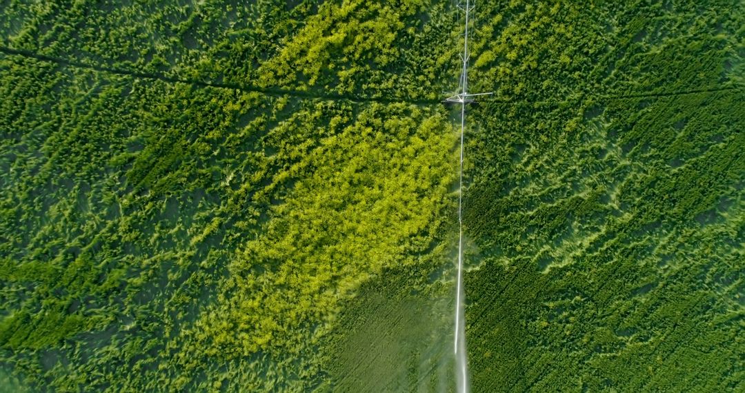 Aerial View of Lush Green Farmland with Irrigation System - Free Images, Stock Photos and Pictures on Pikwizard.com