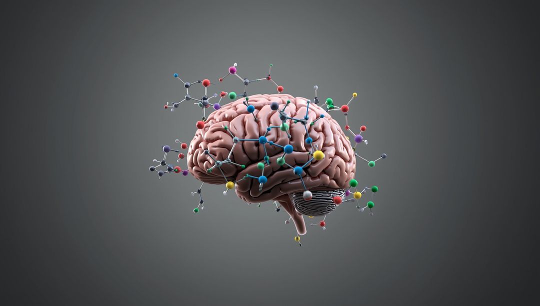 Digital Representation of Brain Interacting with Molecular Structures