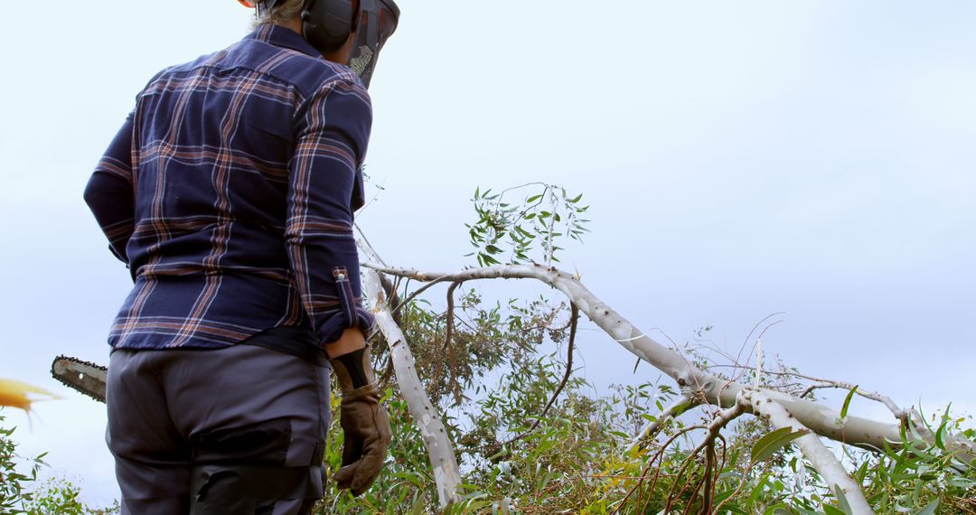 Lumberjack Assessing Fallen Tree in Remote Forest Area