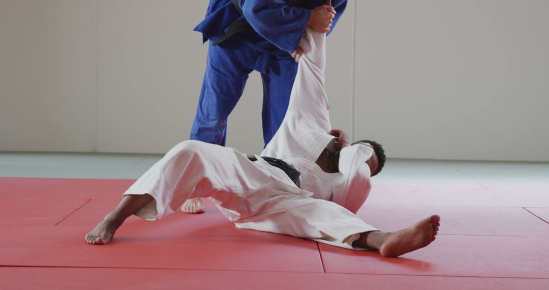 Martial Artists Practicing Ju-jitsu Takedown Maneuver on Mat - Free Images, Stock Photos and Pictures on Pikwizard.com