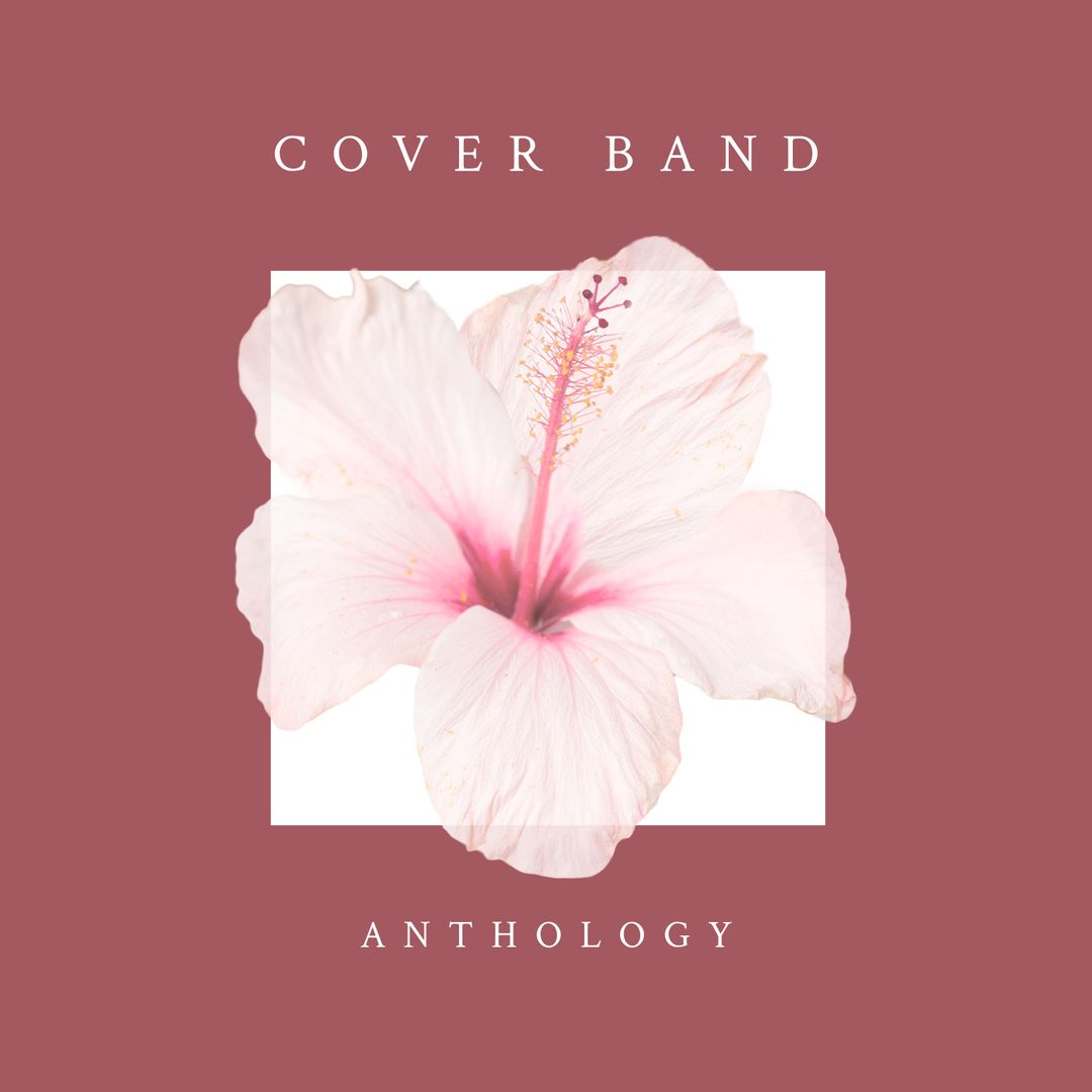 Soft Pink Hibiscus Album Cover Design with Tranquil Vibes