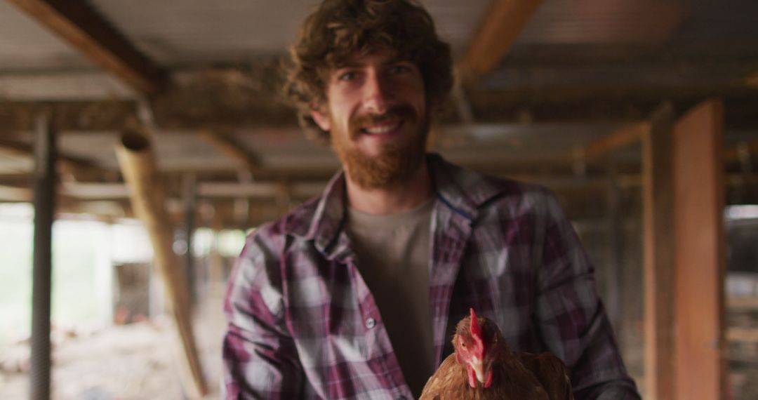 Man holding chicken in rustic barn, lifestyle farming - Free Images, Stock Photos and Pictures on Pikwizard.com