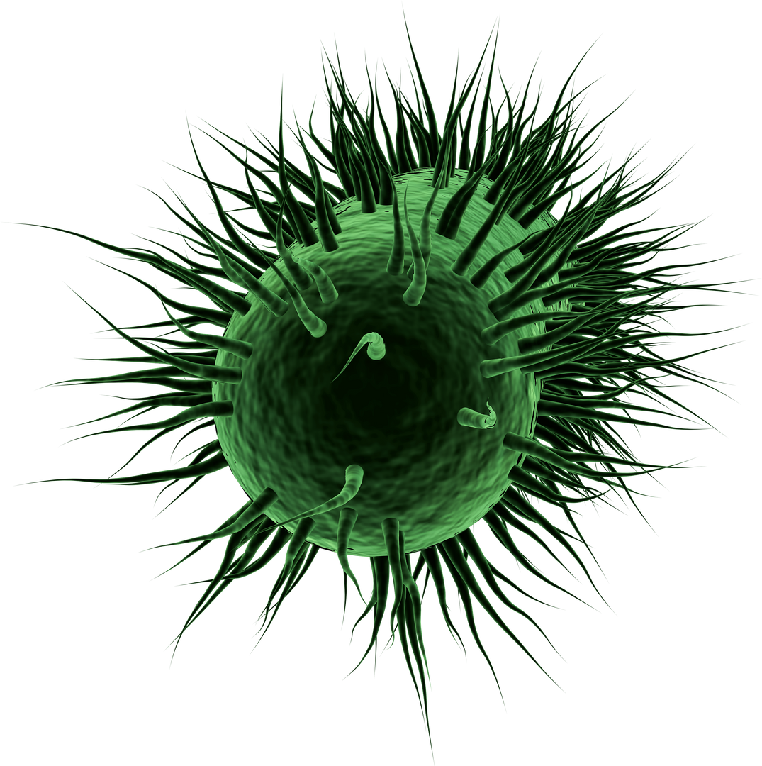 3D Transparent Green Virus Cell Isolated Digital Illustration - Download Free Stock Images Pikwizard.com