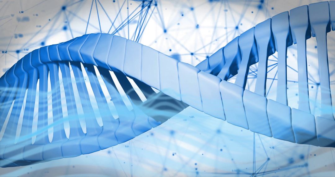 Spinning DNA Strand with Digital Connections