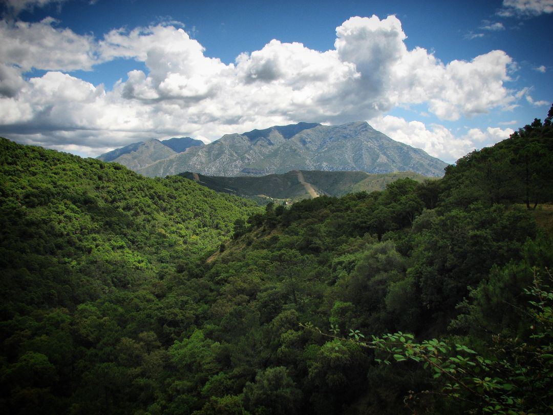 Luxuriant Forest in Majestic Mountain Scenery under Partly Cloudy Sky