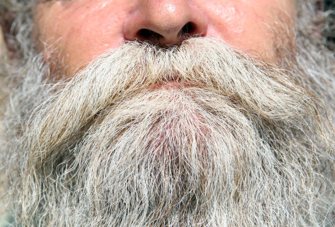 Close-Up of Elderly Man's Grey Beard and Mustache - Free Images, Stock Photos and Pictures on Pikwizard.com