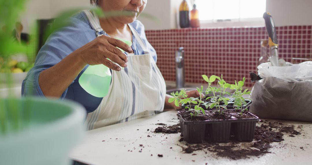 Senior Woman Tending to Seedlings Indoors with Water Spray Bottle - Free Images, Stock Photos and Pictures on Pikwizard.com