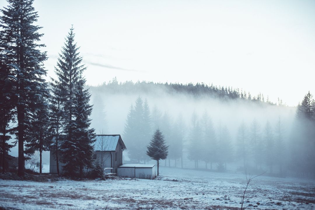 Tranquil Winter Mist Over Snow-Covered Forest Landscape