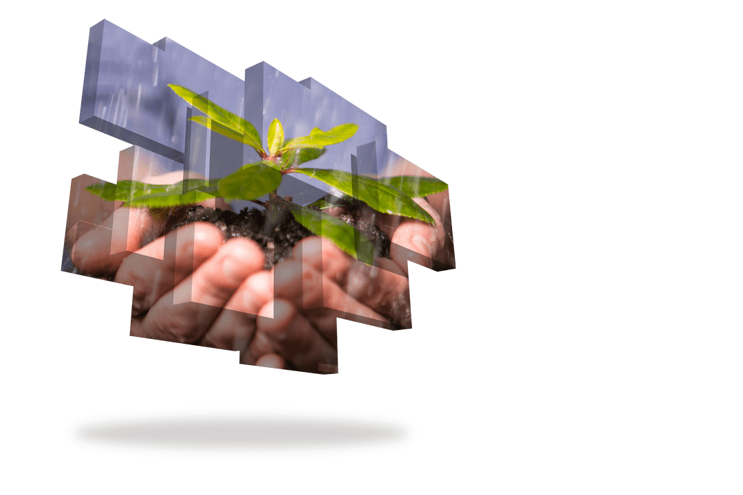 Hands Gently Holding Growing Plant on Transparent Digital Display