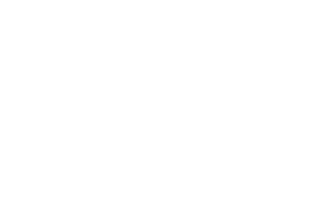 Transparent Silhouette of Couple Holding Hands in Embrace Vector