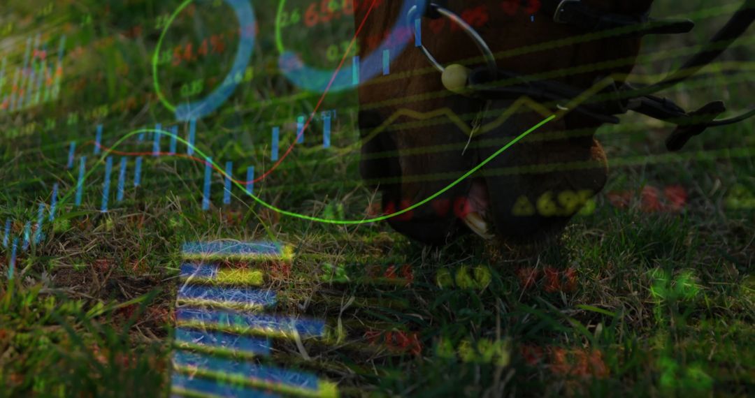 Riding Boot on Grass with Financial Graph Overlay