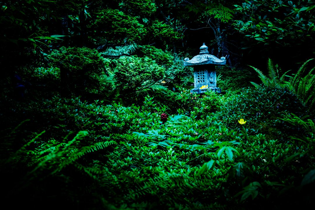 Serene Japanese Garden with Stone Lantern Amid Lush Greenery - Free Images, Stock Photos and Pictures on Pikwizard.com